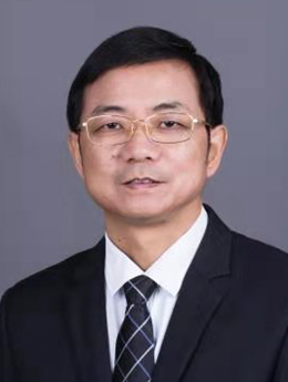 杨晓晖.jpg